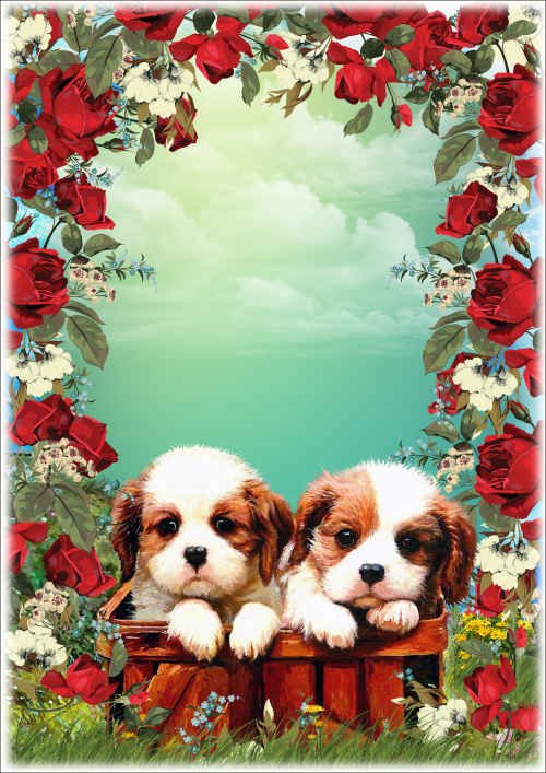 Цветочная рамка для фото с милыми щенками - Первая прогулка