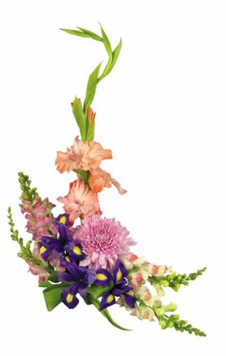 Качественный клипарт цветы в формате PNG
